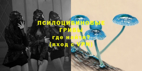 соль ск Арсеньев