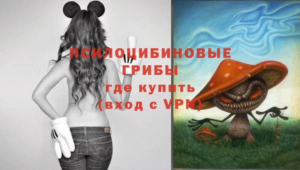 бутик Аркадак