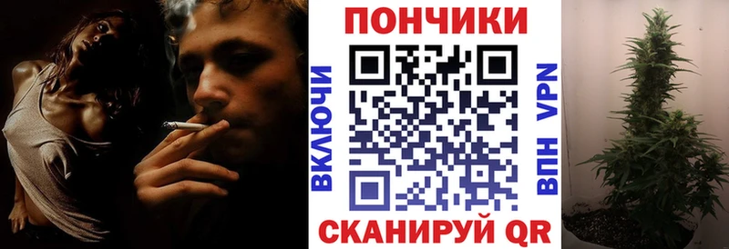 Бошки Шишки SATIVA & INDICA  Павловск 